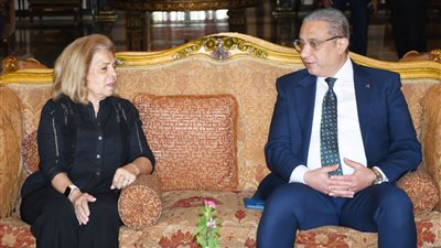 محافظ الفيوم ورئيسة القومي لحقوق الإنسان يناقشان آليات العمل المشترك