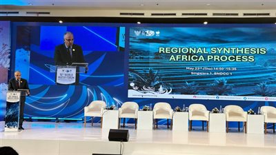 وزير الري: 700 مليون إفريقي يفتقدون خدمات الصرف الصحي الآمنة