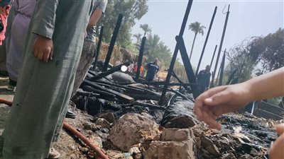 بعد نفوق 11 رأس ماشية.. السيطرة على حريق داخل حظيرة مواشي ببني سويف