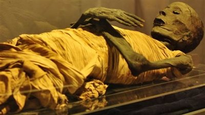 بعد العثور عليه في شوال.. الآثار: وضع رأس مومياء أسوان بالمخازن عقب انتهاء التحقيقات