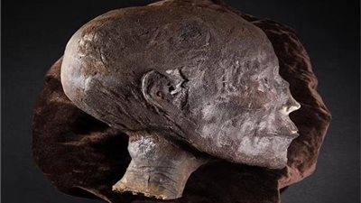 مصدر بالآثار: أجزاء رأس مومياء أسوان يوجد مثلها الكثير بـ قبة أبو الهوا 