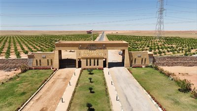 الشركة الوطنية لاستصلاح وزراعة الأراضي الصحراوية.. طفرة زراعية مستدامة في قلب الصحراء