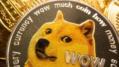 وفاة أشهر كلبة في العالم.. صورتها على عملة دجكوين المشفرة ومحبوبة من إيلون ماسك