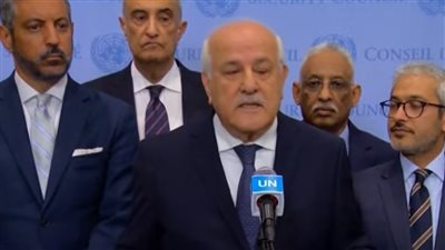 المجموعة العربية في مجلس الأمن ترحب بقرارات محكمة العدل الدولية بشأن رفح