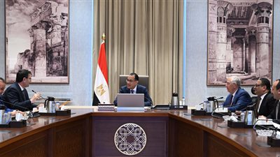 مصطفى مدبولي يلتقي وزير الزراعة اللبناني لبحث التعاون المشترك