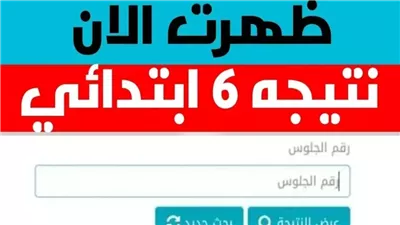 الاستعلام عن نتيجة الصف السادس الابتدائي محافظة الدقهلية.. شوفها ظهرت ولا لأ