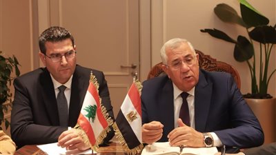 لبنان يبحث مع مصر تصدير الموالح والتلقيح الصناعي لتحسين السلالات 