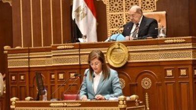 وزيرة التخطيط: نستهدف 271 ألف وحدة إسكان اجتماعي للمواطنين خلال العام المالي الجديد