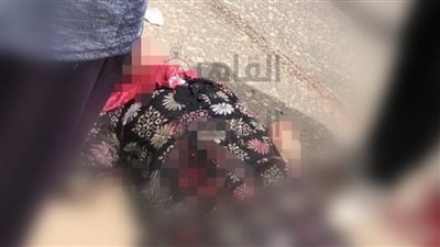 مصرع سيدة صدمتها سيارة أثناء عبورها الطريق بالدقهلية