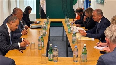 وزير الخارجية يبحث جهود الاعتراف بالدولة الفلسطينية مع نظيره الأيرلندي 