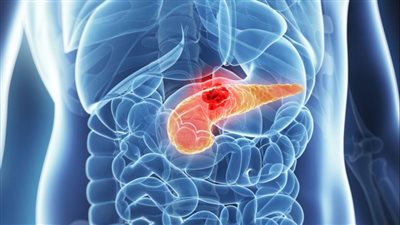 مكون صحي واحد ضروري لصحة الجهاز الهضمي.. تعرف عليه