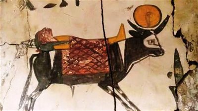 ثور يحمل المومياء إلى المقبرة.. المتحف المصري بالتحرير ينشر تفاصيل توابيت العصر الصاوي 