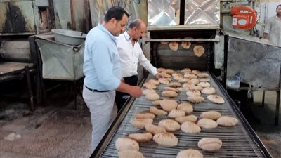 تحرير 124 محضرا مخالفا خلال حملات تموينية ورقابية بمراكز المنيا