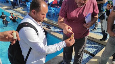 ضمن مبادرة مصر بلا غرقى.. وزارة الرياضة تفتش على الزمالك و30 ناديًا ومركز شباب 