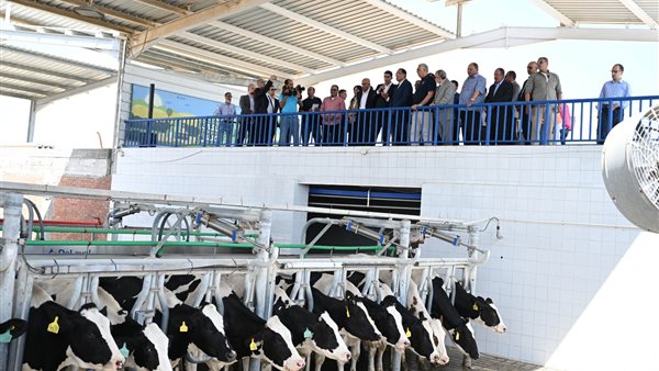 جولة تفقدية لرئيس