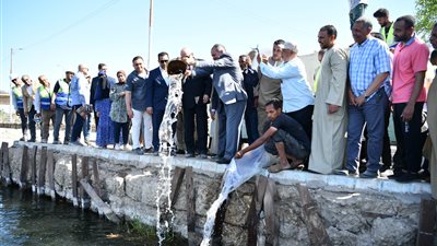 لتحقيق الاكتفاء الذاتي.. إنزال نصف مليون زريعة سمكية بلطي بالنيل في قنا