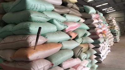 شون وصوامع المحافظة تواصل استقبال القمح وتوريد 340 ألف طن منذ بدء الموسم