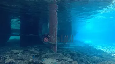 مصدر: غرامة بالدولار على السفينة الجانحة أمام سواحل سفاجا والتحفظ عليها