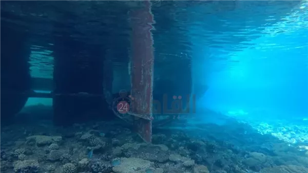 تضرر منطقة الشعاب