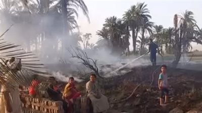 اشتعال 5 نخلات داخل قرية الباويطي بالواحات.. والحماية المدنية تسيطر دون خسائر بشرية