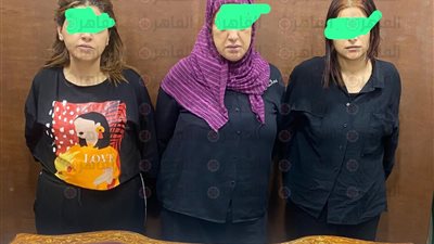 حبس 3 سيدات سرقن عميلًا داخل ماكدونالدز الزمالك