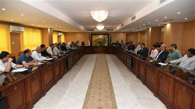 محافظ الفيوم يستقبل فريق مشروع الدعم الفني بالتنمية المحلية