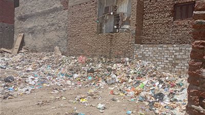 تراكم القمامة وتتار الناموس.. كارثة تهدد حياة أهالي قرية دار السلام بالفيوم | صور 