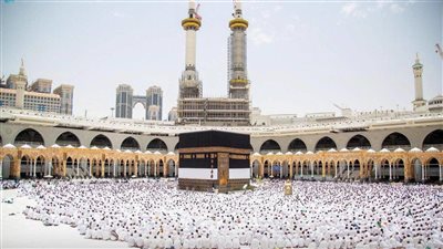 ما حكم الحج بالنسبة لمريض الزهايمر وهل تسقط عنه هذه الفريضة؟