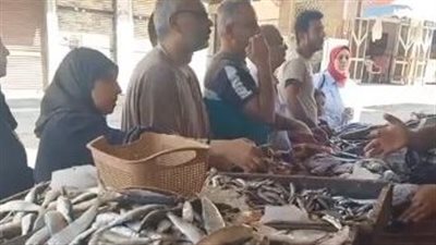 الكابوريا بـ 70 جنيها.. إقبال المواطنين على شراء الأسماك بالبحيرة قبل عيد الأضحى| بث مباشر 