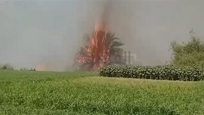 اندلاع حريق هائل في المنازل والزراعات بسوهاج