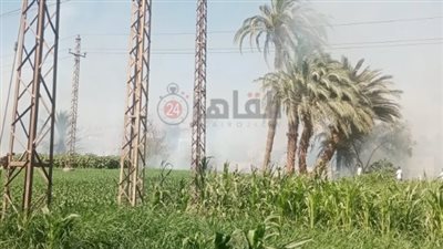 نشوب حريق هائل في الزراعات والمنازل بسوهاج| بث مباشر