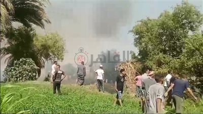 السيطرة على حريق اندلع في 3 منازل وأشجار نخيل بسوهاج| صور