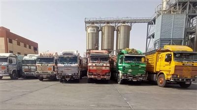 اكتمال السعة التخزينية لصومعة العوينات وتوريد 433 ألف طن قمح بالوادي الجديد