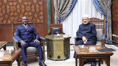 شيخ الأزهر: تقديم منح دراسية لا محدودة لأبناء جنوب إفريقيا تقديرا لموقفهم في دعم فلسطين