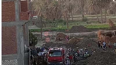 ماكينة توليد كهرباء تتسبب في حريق بحظيرة ماشية بالفيوم.. ونفوق 40 رأسًا 