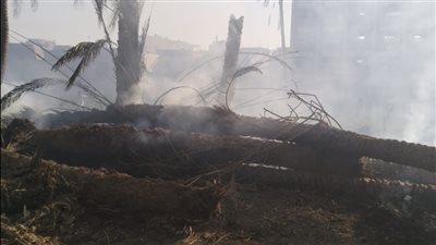 حريق يلتهم 9 منازل بأسيوط.. وأحد المتضررين: خسرنا كل ما نملك| فيديو