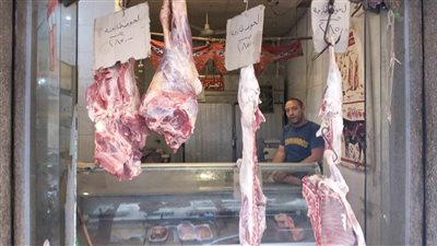 استعدادات مكثفة لـ تموين الإسكندرية لاستقبال عيد الأضحى 