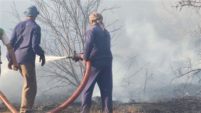 اللقطات الأولى لـ آثار دمار حريق مزارع نخيل عين القضا بالوادي الجديد | صور