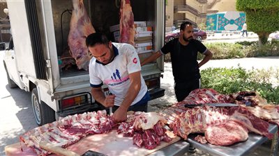 بـ310 جنيهات للكيلو.. طرح لحوم بلدية بأسعار مخفضة للمواطنين في البحر الأحمر