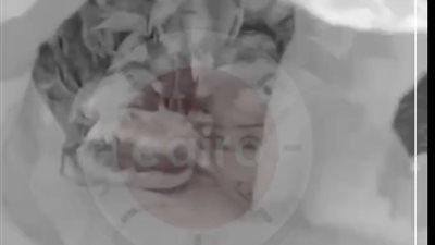 اتحاد الدواجن: نفوق عدد كبير من الفراخ بسبب قطع الكهرباء| فيديو 