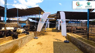 لأول مرة.. صناع الخير توزع كرتونة مواد غذائية بجانب لحوم الأضاحي للقرى الأشد احتياجا