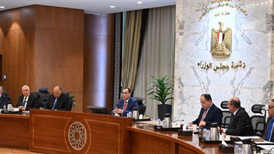 الحكومة: تيسير منح التأشيرات والتسهيلات لاستضافة الفعاليات الإفريقية