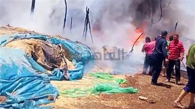 اندلاع حريق هائل في شونة بالغربية بسبب ارتفاع حرارة الجو| صور