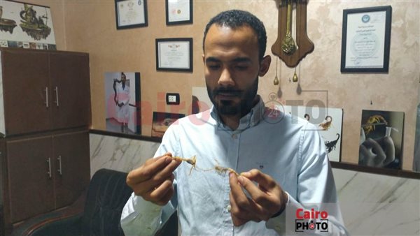 استخلاص السموم من