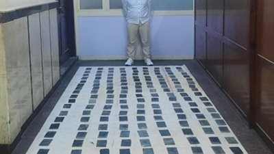 مخدرات بـ2 مليون جنيه.. القبض على عنصرين إجراميين خلال حملة أمنية بالإسكندرية