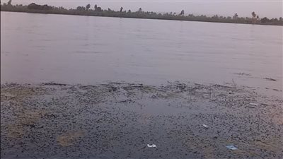 مصرع فتى غرقا بنيل الأقصر بعد التفاف الحشائش عليه