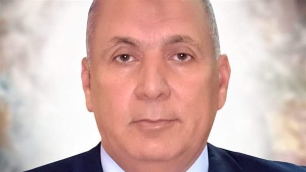 محافظ الوادى الجديد