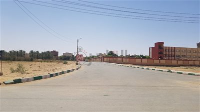 الناس هربت من الشوارع... ميادين الوادي الجديد خالية من المواطنين بسبب الموجة الحارة| صور