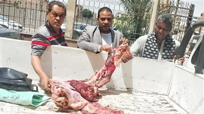 قبل العيد.. ضبط 2.5 طن لحوم ومجمدات منتهية الصلاحية وإغلاق 29 منشأة غذائية بسوهاج