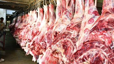 أسعار اللحوم اليوم الخميس 9 أكتوبر 2025 في الأسواق 